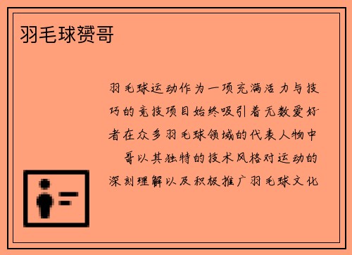 羽毛球赟哥